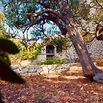 Masline Villa Sevid