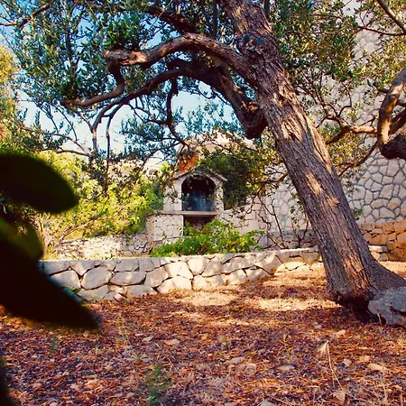 Masline Villa Sevid