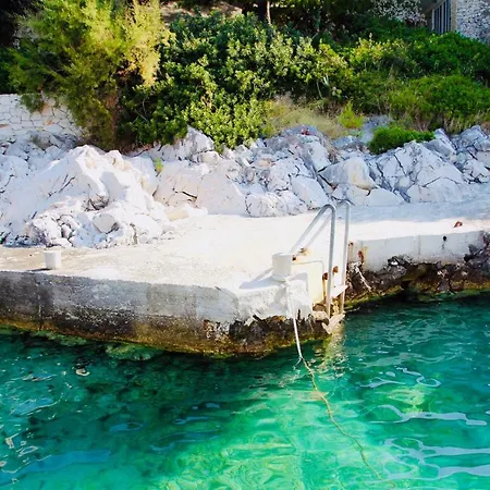 Masline Villa Sevid