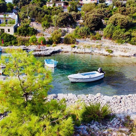 Masline Villa Sevid